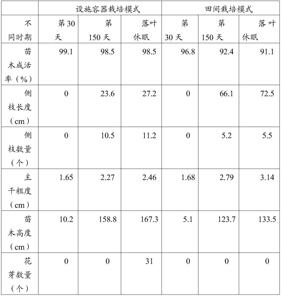 澳门正版图库