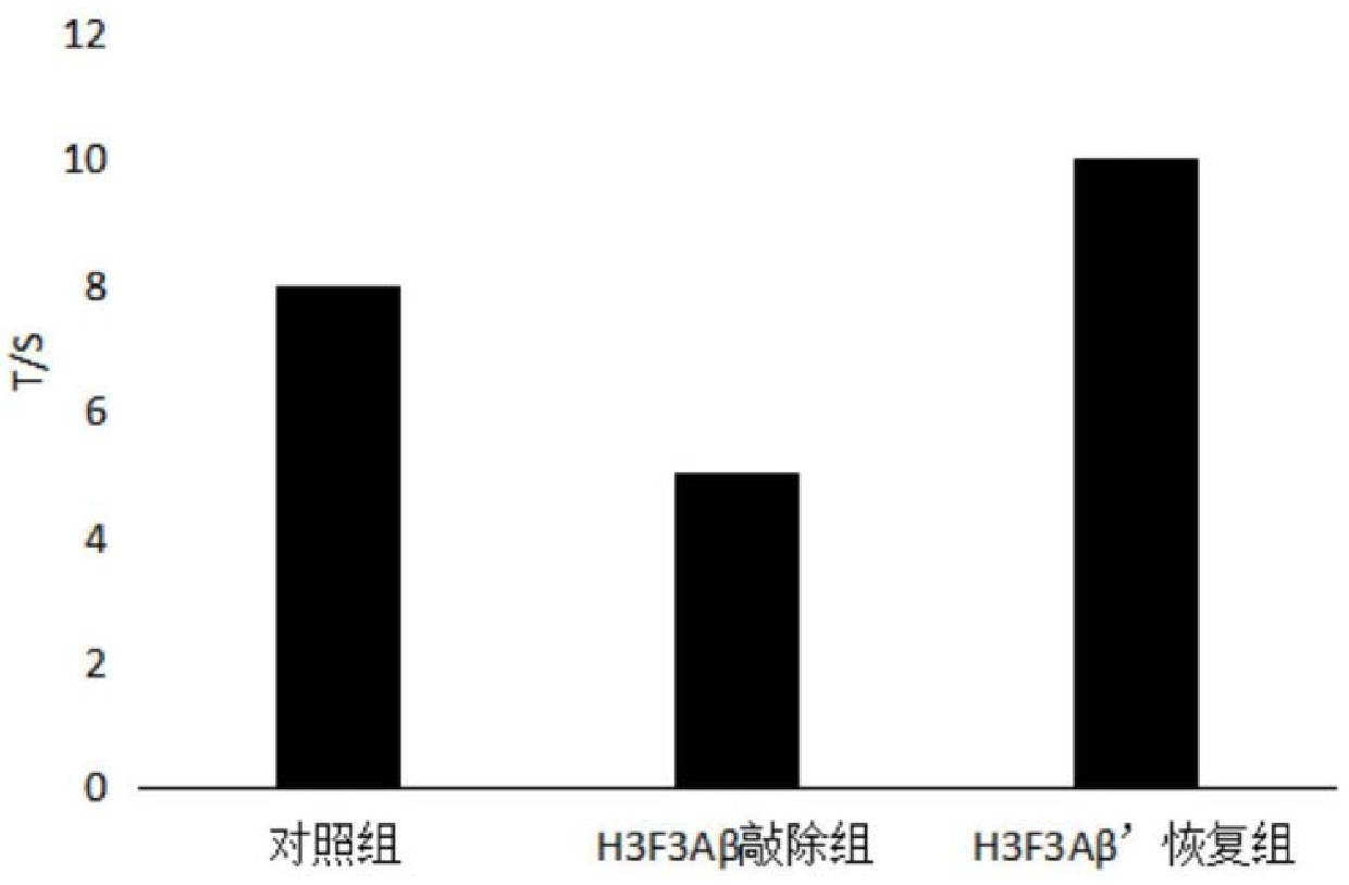 澳门正版图库