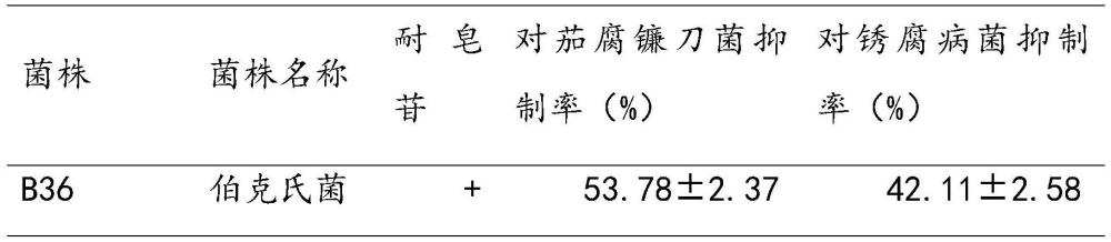 澳门正版图库