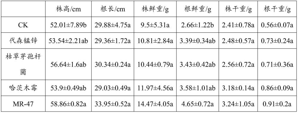 澳门正版图库