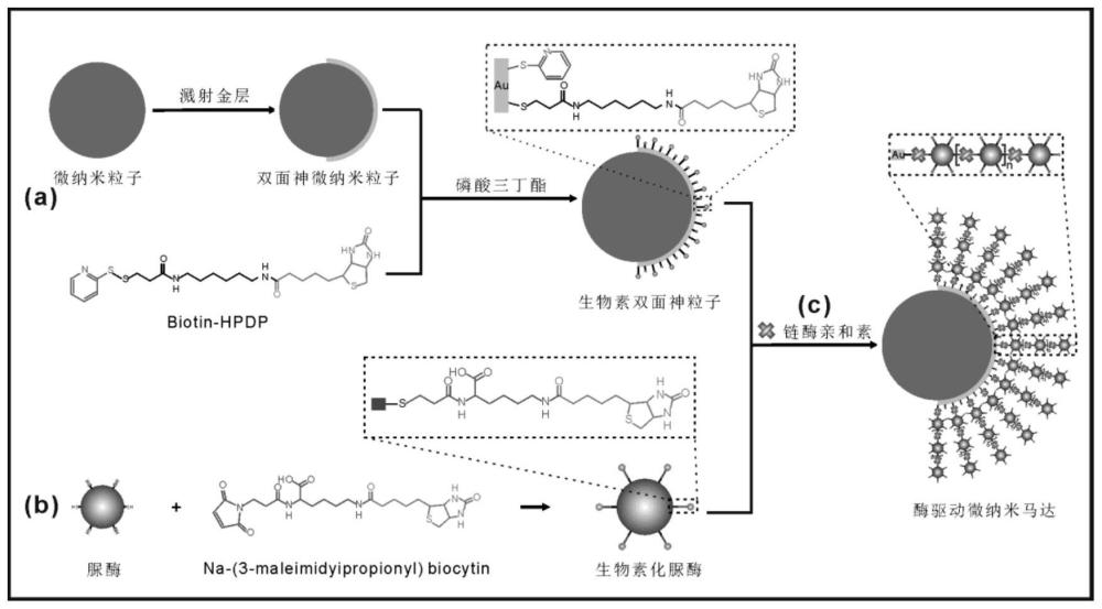 澳门正版图库