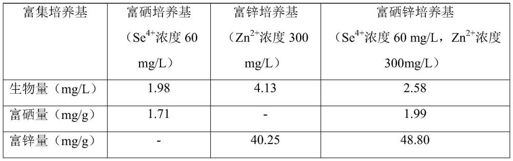 澳门正版图库