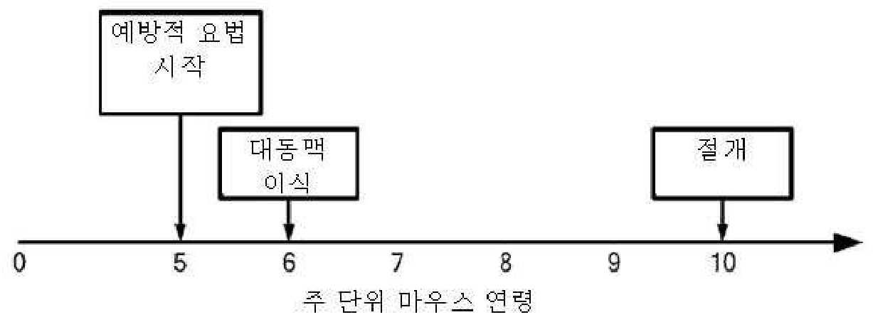 澳门正版图库