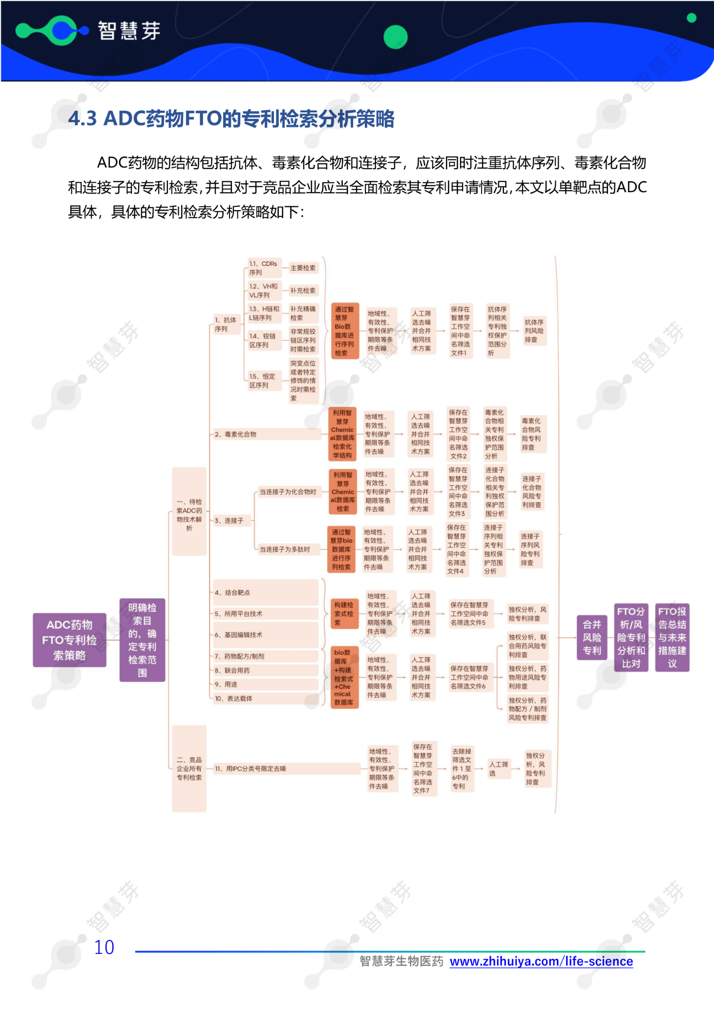 抗体类药物FTO报告撰写操作手册_12(1) (1).png